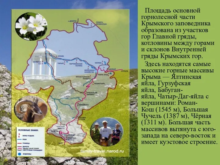 Площадь основной горнолесной части Крымского заповедника образована из участков гор Главной гряды, котловины
