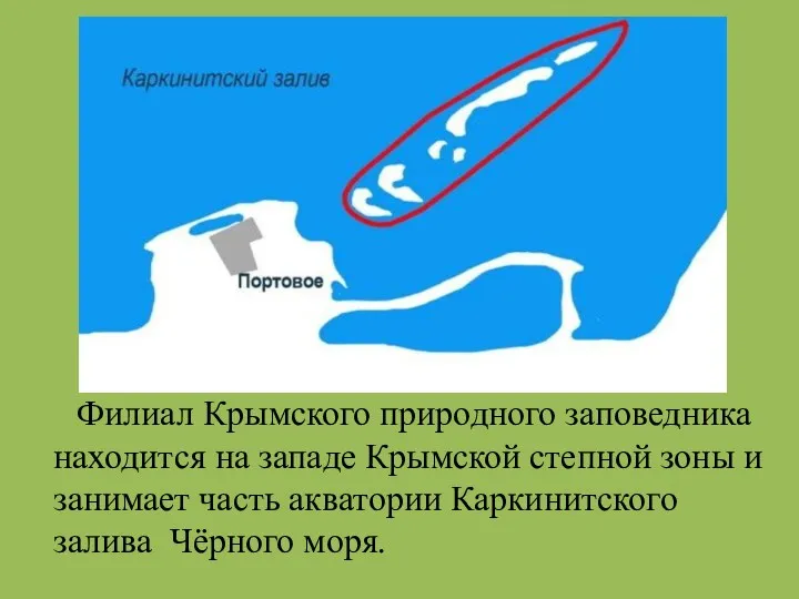 Филиал Крымского природного заповедника находится на западе Крымской степной зоны и занимает часть