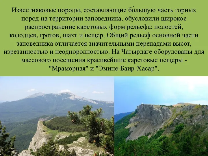 Известняковые породы, составляющие бо́льшую часть горных пород на территории заповедника, обусловили широкое распространение