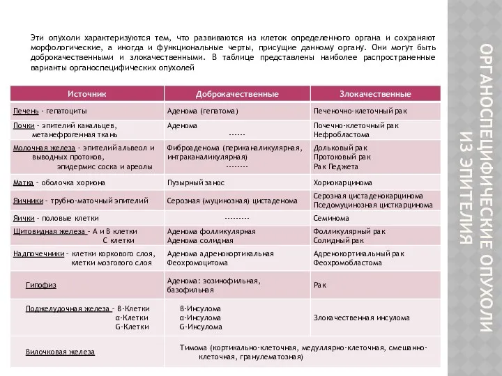 ОРГАНОСПЕЦИФИЧЕСКИЕ ОПУХОЛИ ИЗ ЭПИТЕЛИЯ Эти опухоли характеризуются тем, что развиваются