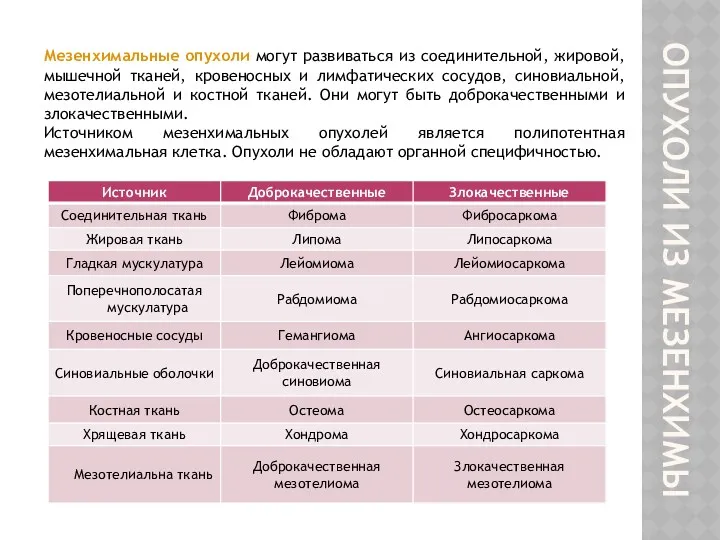 ОПУХОЛИ ИЗ МЕЗЕНХИМЫ Мезенхимальные опухоли могут развиваться из соединительной, жировой,