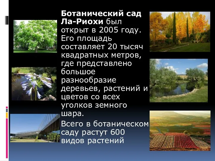 Ботанический сад Ла-Риохи был открыт в 2005 году. Его площадь составляет 20 тысяч