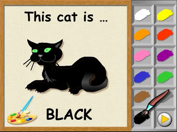This cat is … BLACK