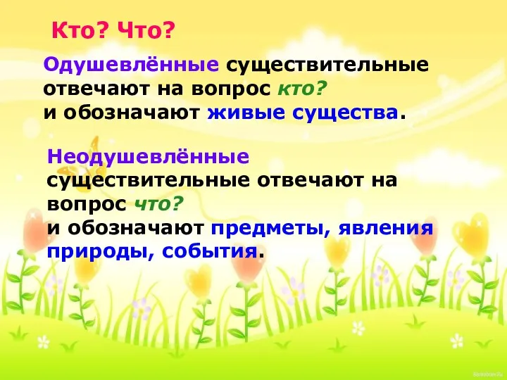 Кто? Что? Одушевлённые существительные отвечают на вопрос кто? и обозначают