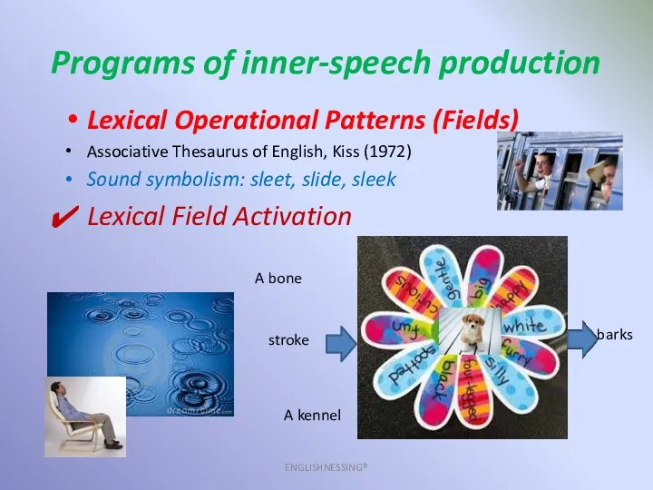 Programs of inner-speech production ENGLISHNESSING® Lexical Operational Patterns (Fields) Associative