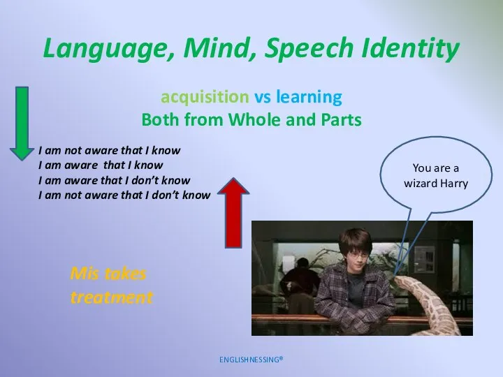 Language, Mind, Speech Identity ENGLISHNESSING® acquisition vs learning Both from