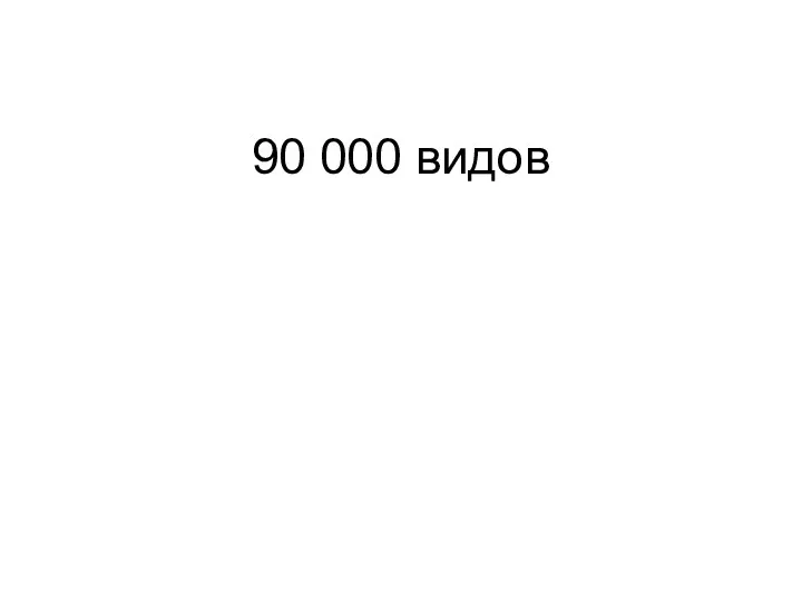 90 000 видов