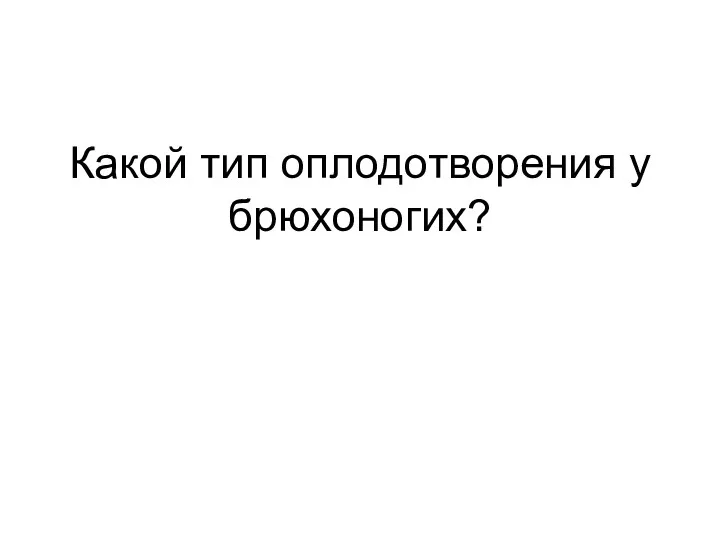 Какой тип оплодотворения у брюхоногих?