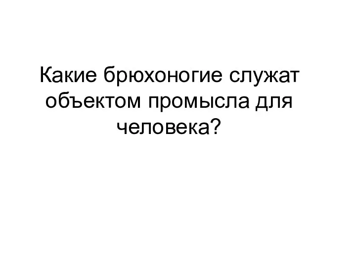 Какие брюхоногие служат объектом промысла для человека?