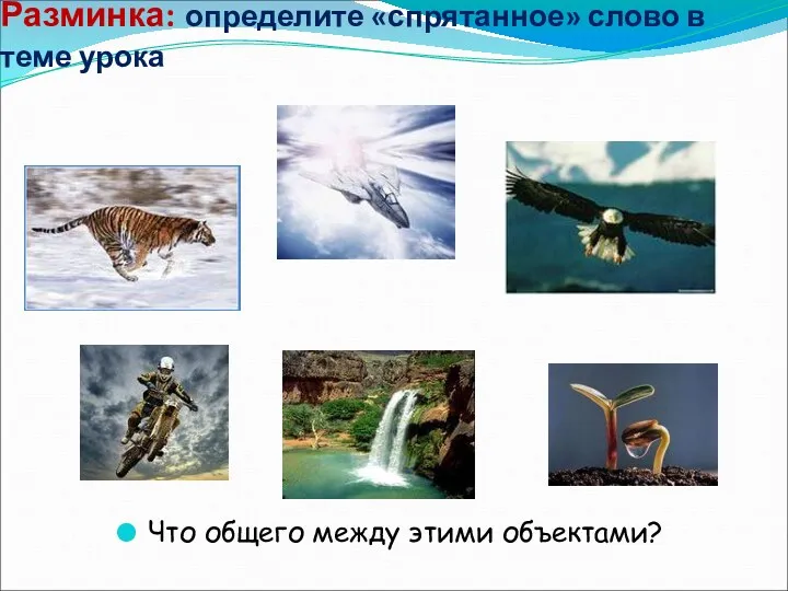 Разминка: определите «спрятанное» слово в теме урока Что общего между этими объектами?