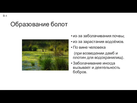 Образование болот из-за заболачивания почвы; из-за зарастания водоёмов. По вине