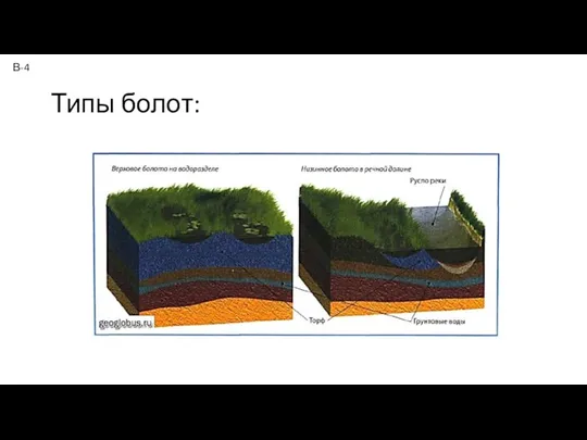 Типы болот: В-4