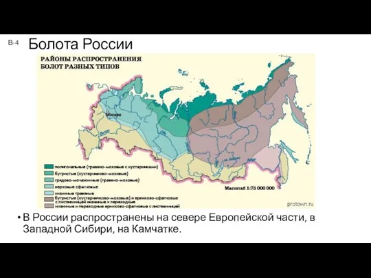 Болота России В России распространены на севере Европейской части, в Западной Сибири, на Камчатке. В-4