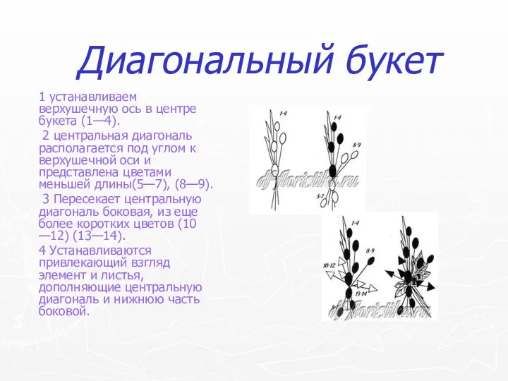 Диагональный букет 1 устанавливаем верхушечную ось в центре букета (1—4).