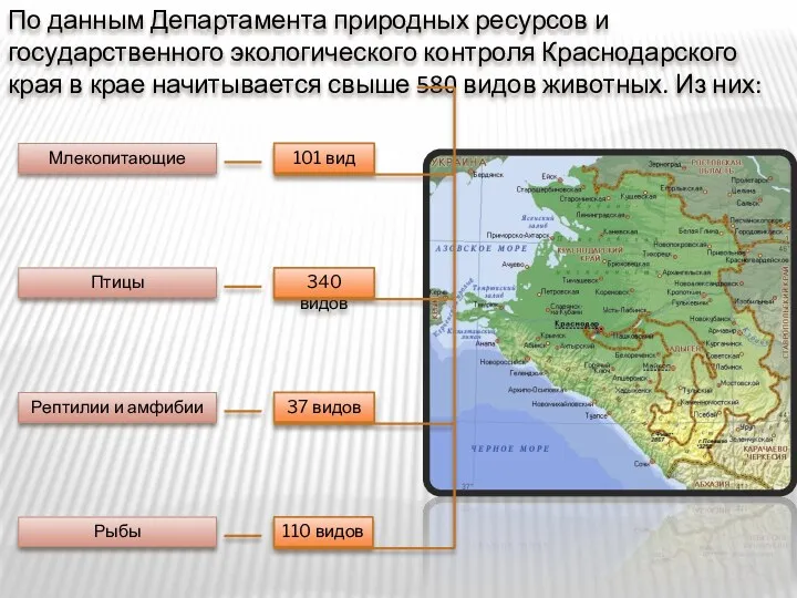 По данным Департамента природных ресурсов и государственного экологического контроля Краснодарского края в крае