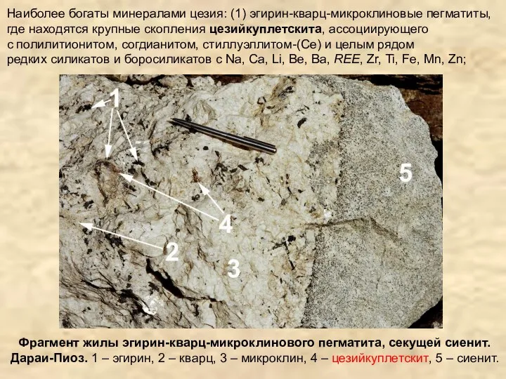 Фрагмент жилы эгирин-кварц-микроклинового пегматита, секущей сиенит. Дараи-Пиоз. 1 – эгирин,