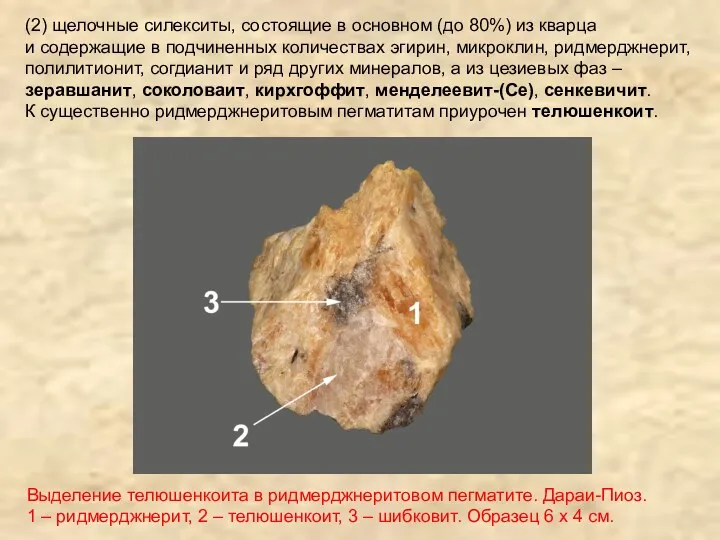 Выделение телюшенкоита в ридмерджнеритовом пегматите. Дараи-Пиоз. 1 – ридмерджнерит, 2