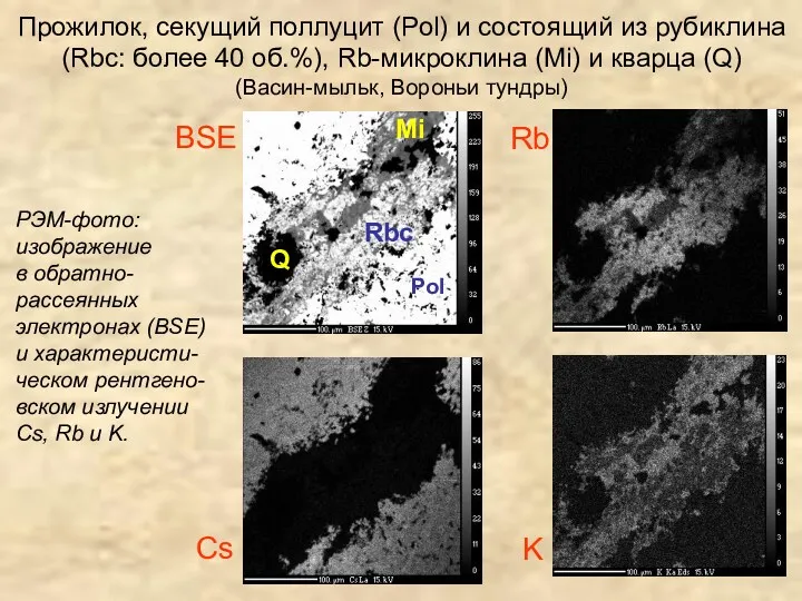 Прожилок, секущий поллуцит (Pol) и состоящий из рубиклина (Rbc: более