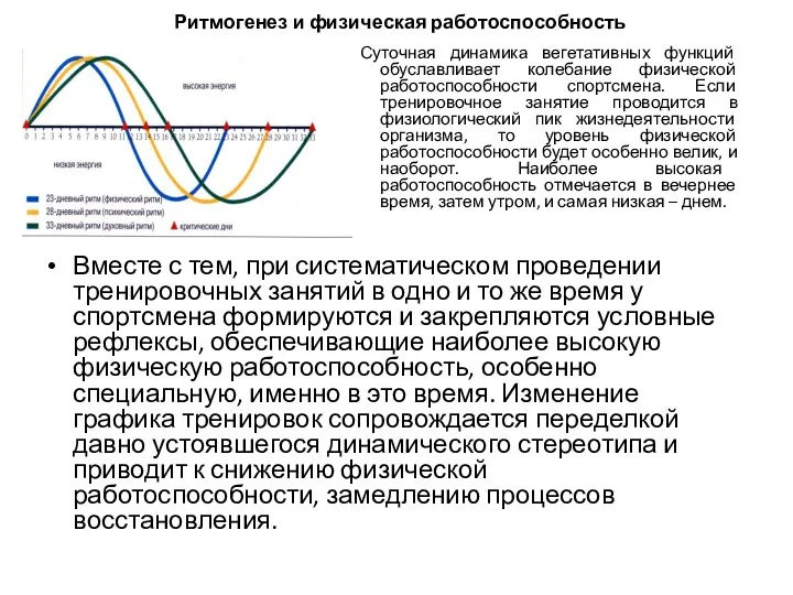 Ритмогенез и физическая работоспособность Суточная динамика вегетативных функций обуславливает колебание