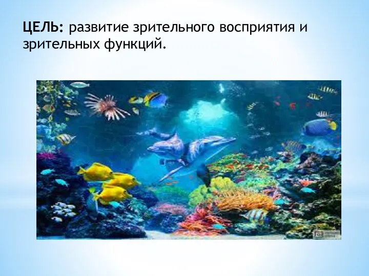 ЦЕЛЬ: развитие зрительного восприятия и зрительных функций.