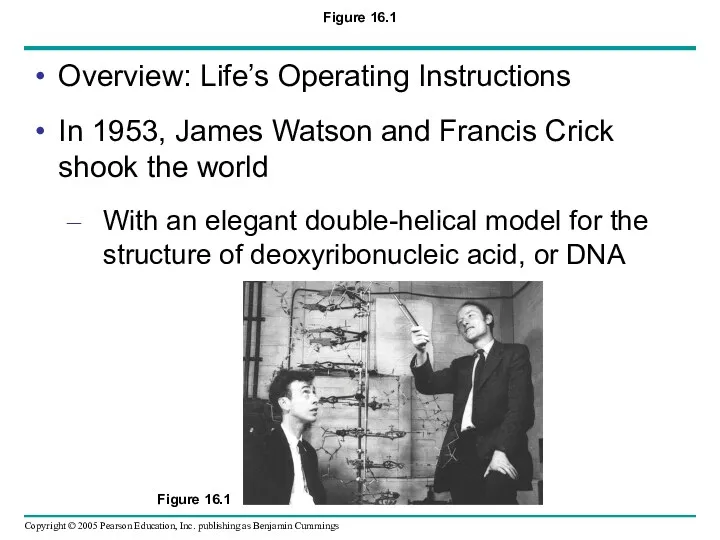 Figure 16.1 Overview: Life’s Operating Instructions In 1953, James Watson