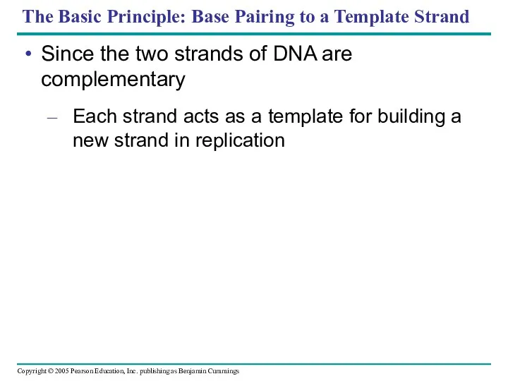 The Basic Principle: Base Pairing to a Template Strand Since