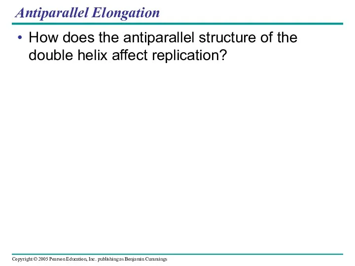 Antiparallel Elongation How does the antiparallel structure of the double helix affect replication?