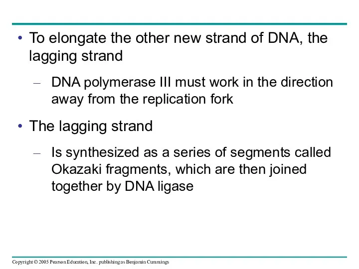 To elongate the other new strand of DNA, the lagging