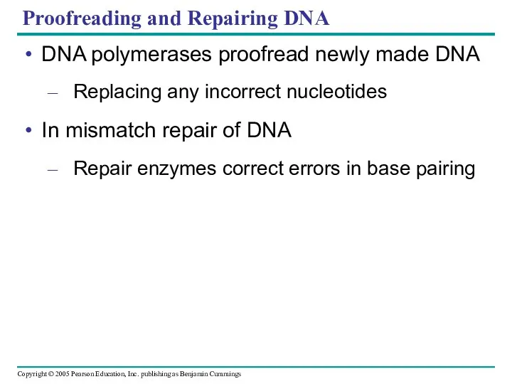Proofreading and Repairing DNA DNA polymerases proofread newly made DNA