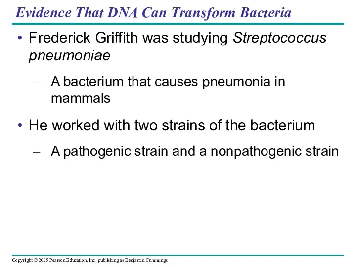 Evidence That DNA Can Transform Bacteria Frederick Griffith was studying