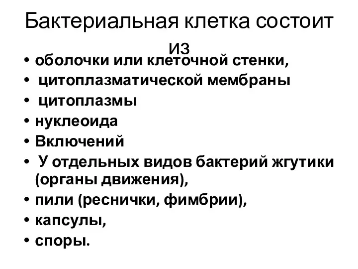 Бактериальная клетка состоит из оболочки или клеточной стенки, цитоплазматической мембраны