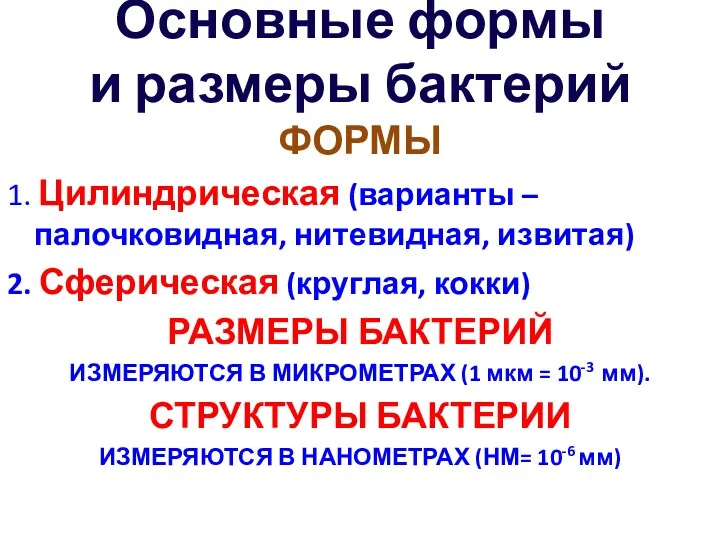 Основные формы и размеры бактерий ФОРМЫ 1. Цилиндрическая (варианты –