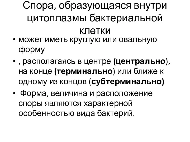 Спора, образующаяся внутри цитоплазмы бактериальной клетки может иметь круглую или