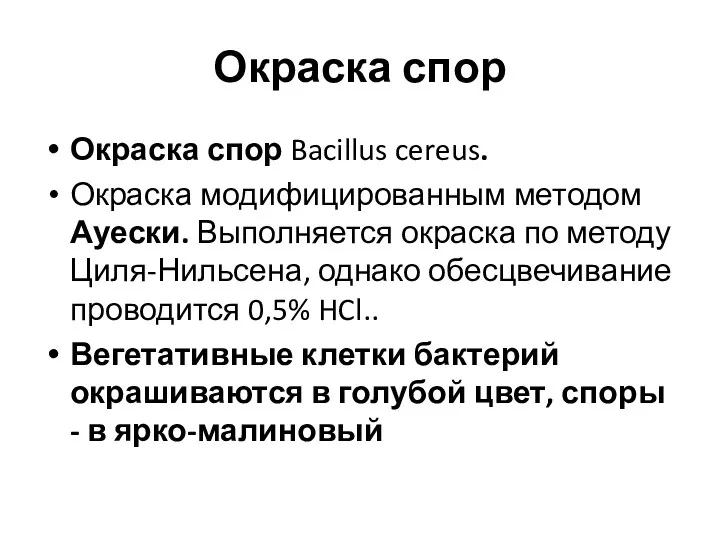 Окраска спор Окраска спор Bacillus cereus. Окраска модифицированным методом Ауески.