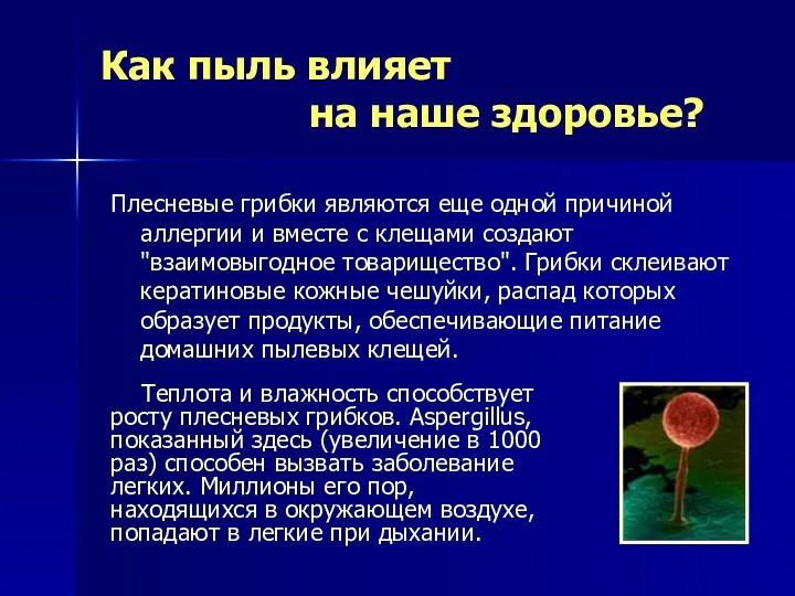 Как пыль влияет на наше здоровье? Плесневые грибки являются еще