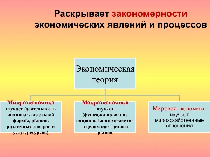 Раскрывает закономерности экономических явлений и процессов