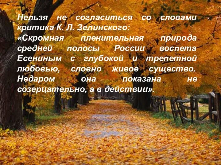 Нельзя не согласиться со словами критика К. Л. Зелинского: «Скромная пленительная природа средней