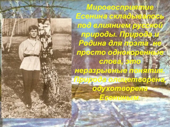 Мировосприятие Есенина складывалось под влиянием русской природы. Природа и Родина