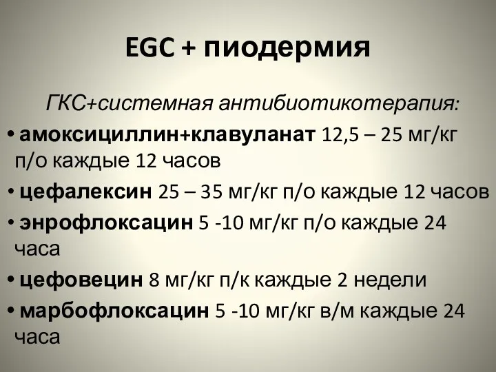 EGC + пиодермия ГКС+системная антибиотикотерапия: амоксициллин+клавуланат 12,5 – 25 мг/кг п/о каждые 12