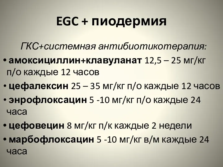 EGC + пиодермия ГКС+системная антибиотикотерапия: амоксициллин+клавуланат 12,5 – 25 мг/кг