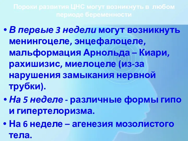 Пороки развития ЦНС могут возникнуть в любом периоде беременности В