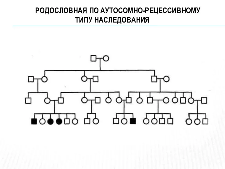 РОДОСЛОВНАЯ ПО АУТОСОМНО-РЕЦЕССИВНОМУ ТИПУ НАСЛЕДОВАНИЯ