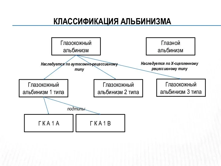 КЛАССИФИКАЦИЯ АЛЬБИНИЗМА