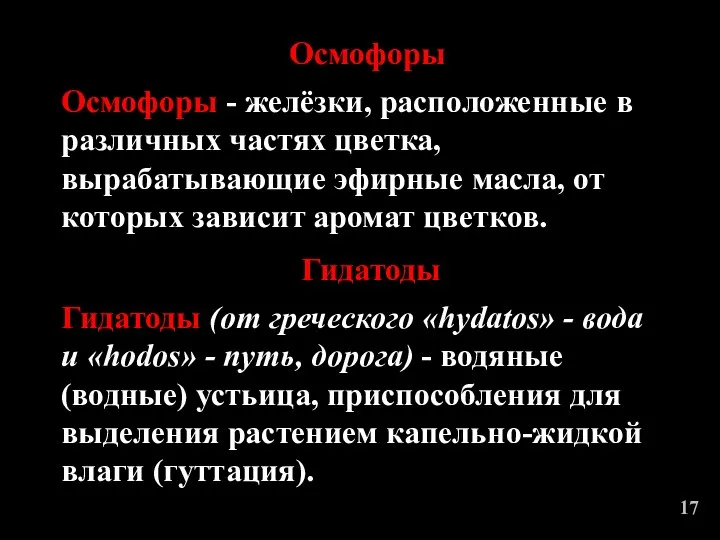 Осмофоры - желёзки, расположенные в различных частях цветка, вырабатывающие эфирные