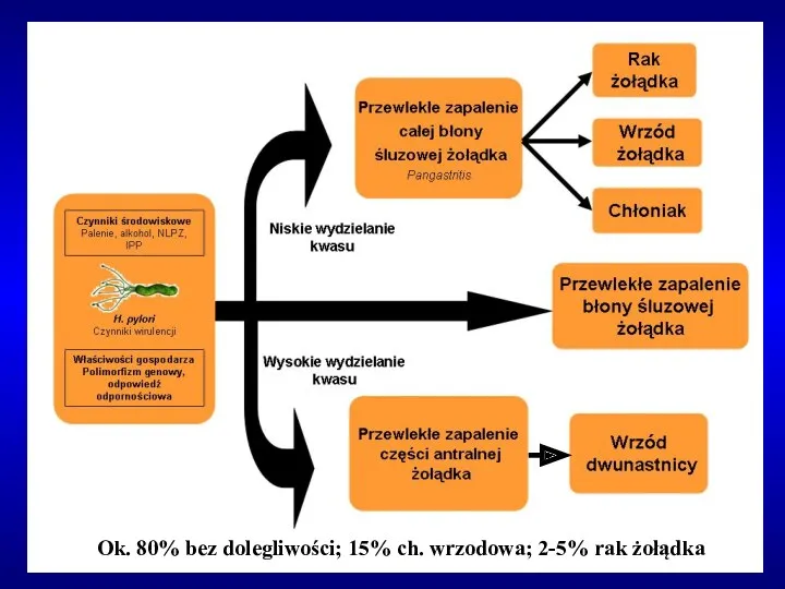 Ok. 80% bez dolegliwości; 15% ch. wrzodowa; 2-5% rak żołądka