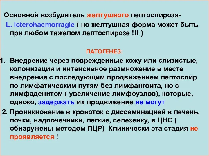 Основной возбудитель желтушного лептоспироза- L. icterohaemorragie ( но желтушная форма может быть при