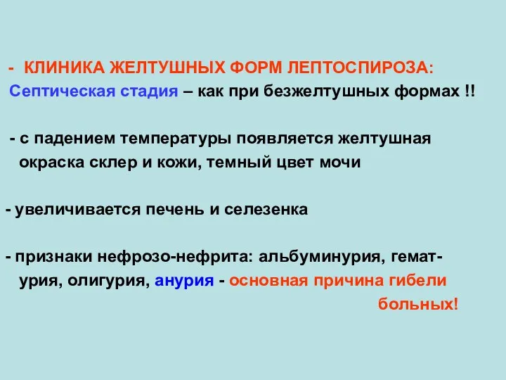 КЛИНИКА ЖЕЛТУШНЫХ ФОРМ ЛЕПТОСПИРОЗА: Септическая стадия – как при безжелтушных формах !! -