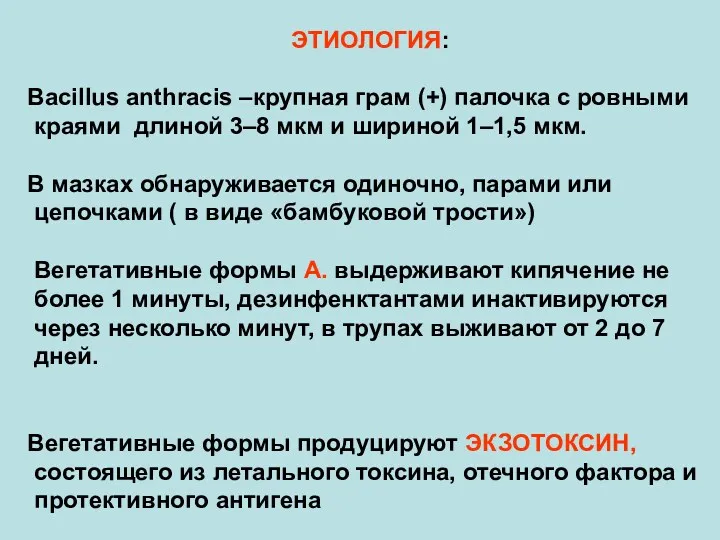 ЭТИОЛОГИЯ: Bacillus anthracis –крупная грам (+) палочка с ровными краями длиной 3–8 мкм