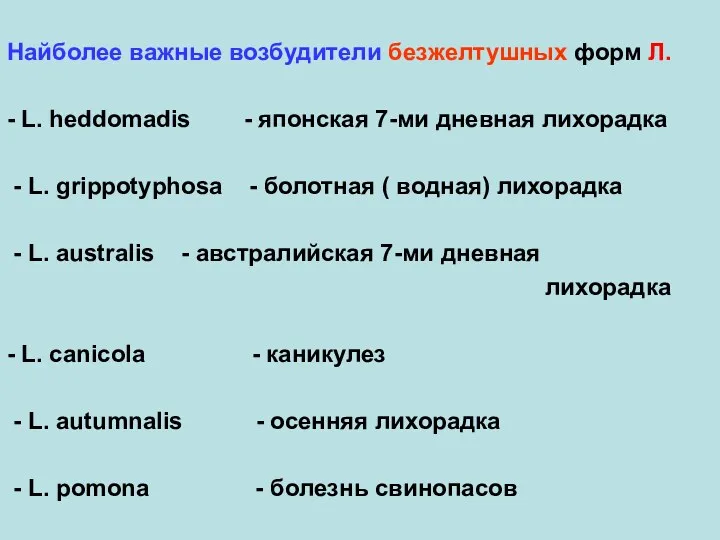 Найболее важные возбудители безжелтушных форм Л. - L. heddomadis - японская 7-ми дневная