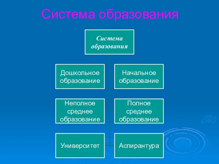 Система образования